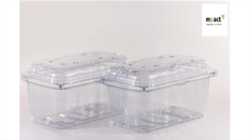 Mpact Versapak launches grape punnets, produced from 100% post-consumer recycled PET