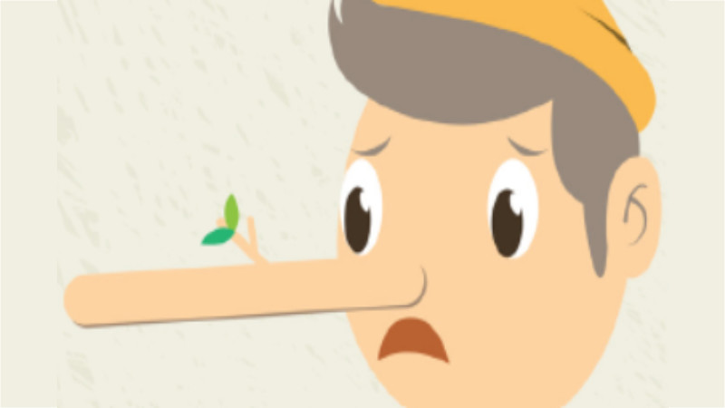 The seven sins of Greenwashing